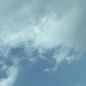 Meet your Posher, Sophia